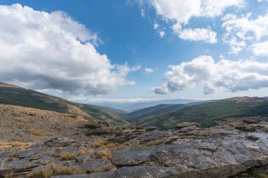 Güney İspanya 'da Sierra Nevada dağları, çam ağaçları ve çalılardan oluşan bir orman var, kaya oluşumları var, gökyüzünde bulutlar var.
