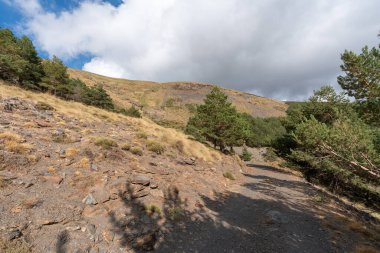 Güney İspanya 'daki Sierra Nevada dağındaki toprak yol, yol çam ormanlarından geçiyor, taşlar ve çalılar var, gökyüzünde bulutlar var.