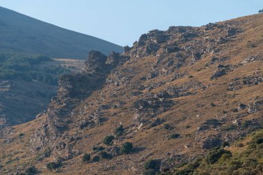 steep area in the Sierra Nevada mountain, there are trees and bushes, the sky is clear