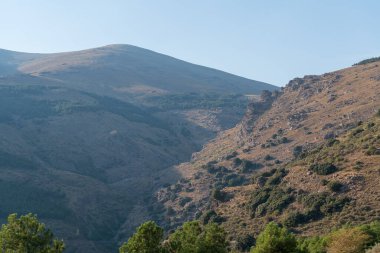 steep area in the Sierra Nevada mountain, there are trees and bushes, the sky is clear