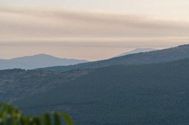 Sierra Nevada mountains in southern Spain, there is a forest of pine trees and bushes, the sky has cloud