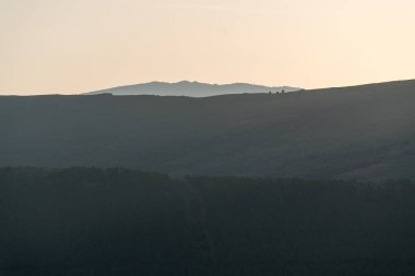sunset in the Sierra Nevada mountains, there are pine forests, the sky is clear