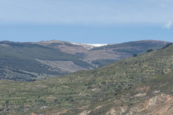 Sierra Nevada Sur España Hay Bosques Pinos Hay Varias Casas — Foto de Stock
