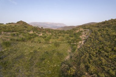 Granada 'nın (İspanya) güneyindeki dağlık arazide çalılar ve ağaçlar var, gökyüzünde bulutlar var.