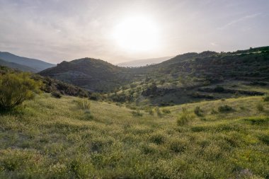 Granada 'nın (İspanya) güneyindeki dağlık arazide çalılar ve ağaçlar var, gökyüzünde bulutlar var.
