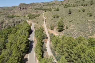 Güney İspanya 'nın dağları boyunca yol var, çam ormanları var, çalılar var, alan sarp.