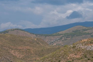 Granada 'nın güneyindeki dağlarda çalılar ve çam ormanları var. Gökyüzü bulutlu.