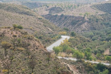 Dağlar arasında geleneksel bir yol var, badem ve zeytin ağaçları var, çalılar var, yolda çeşitli işaretler var.