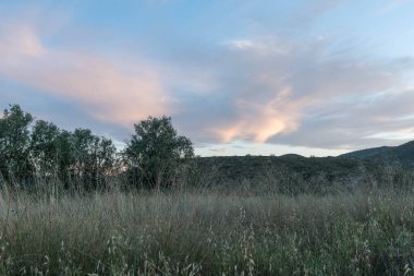 Çalı ve ağaçlı bir tarla. Dağlık bir alan. Gökyüzünde bulutlar var.