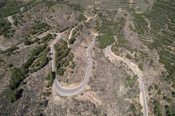 overhead photo of a road through a pine forest, it is a mountain area with trees and bushes