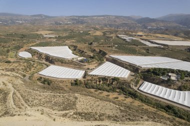 Granada 'nın güneyinde bir grup sera, dağlık bir alan, ağaçlar ve çalılar var, gökyüzü açık.