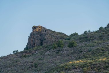 Granada 'nın güneyindeki dik dağ yamacında kayalar, çalılar ve ağaçlar var. Gökyüzü açık.