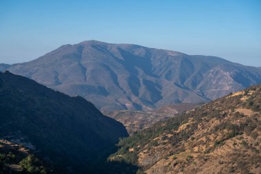 Granada 'nın güneyindeki dağlık bölgede ağaçlar ve çalılar var, gökyüzü açık.