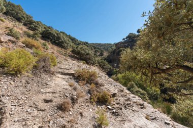 Güney Sierra Nevada 'da vadi, ağaçlar ve çalılar var, dik ve kayalık bir bölge, gökyüzü açık.