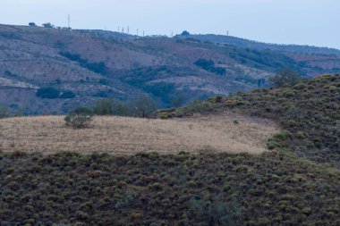 Granada 'nın güneyindeki dağlık bölgede çalılar ve ağaçlar var. Uzak dağlarda yüksek gerilim kolonları var. Gökyüzü bulutlu.