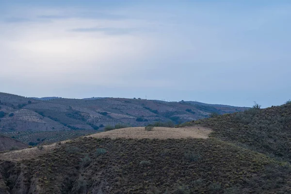 Úsvit Jihu Granady Horská Oblast Tam Vegetace Hoře Obloha Zatažená — Stock fotografie