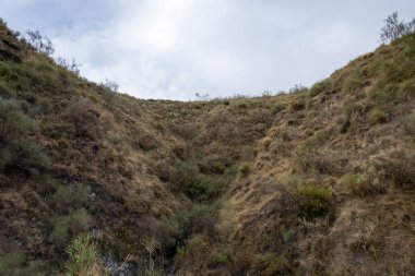 Bir dağ geçidinde çalı bitkisi, gökyüzünde bulutlar var.