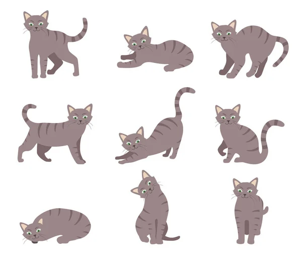 Cartoon Cat Set Different Poses Emotions Cat Behavior Body Language — Archivo Imágenes Vectoriales