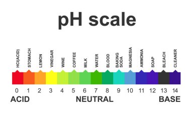 Beyaz arkaplanda pH ölçeği izole edildi. Vektör illüstrasyonu