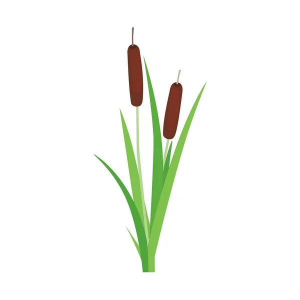 ブラッシュ キャタール 杖または救済植物 白を基調としたシンプルなシンボル 花の要素 ベクトル — ストックベクタ