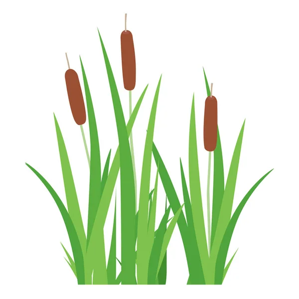 Bulrush Kattenstaart Suikerriet Rietknots Eenvoudig Symbool Geïsoleerd Witte Achtergrond Waterplanten — Stockvector