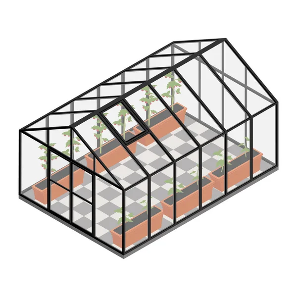 Szklarnia Farmie Ekologicznej Rosnące Pomidory Izometryczny Widok Szklany Dom — Wektor stockowy