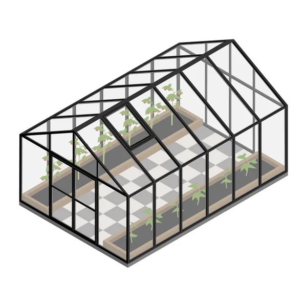 Estufa Numa Quinta Orgânica Tomates Crescentes Vista Isométrica Casa Vidro — Vetor de Stock