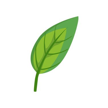 Beyaz arka planda izole edilmiş ağaç yaprağı. Ekoloji, doğal ya da biyolojik kavram. Vektör illüstrasyonu