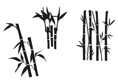 Bambu siluet koleksiyonunu terk eder. Bambu bitkisi vektör çizimi. Bambu element tasarımı. Bambu dalları, sapları ve yaprakları beyaz arkaplanda izole edilmiş.
