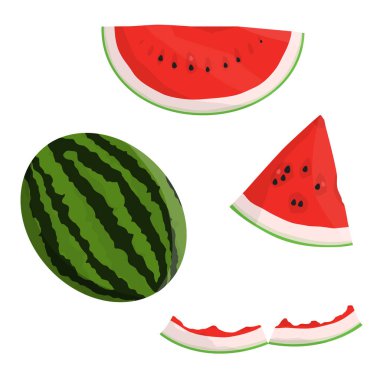 Beyaz arka planda izole edilmiş olgun taze karpuz. Tam, dilim, parça ve karpuz kabuğu. Vektör illüstrasyonu