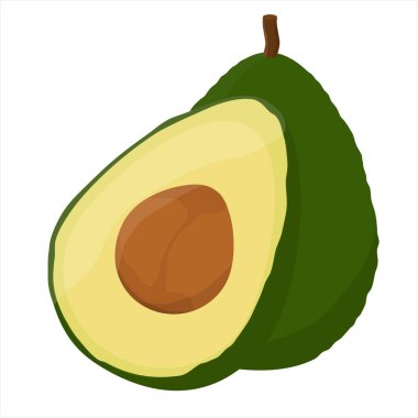 Beyaz arka planda izole edilmiş gerçekçi avokado. Yarım dilimlenmiş avokado ve tohum. Sağlıklı bir yaşam tarzı. Avokado meyve ikonu. Vektör illüstrasyonu