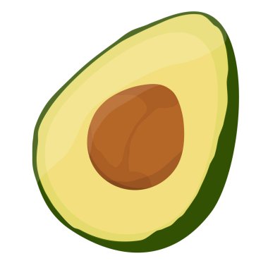 Beyaz arka planda izole edilmiş gerçekçi avokado. Yarım dilimlenmiş avokado ve tohum. Sağlıklı bir yaşam tarzı. Avokado meyve ikonu. Vektör illüstrasyonu