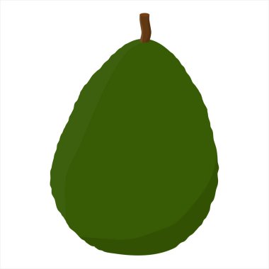 Beyaz arka planda izole edilmiş gerçekçi avokado. Tamamen çiğ avokado. Sağlıklı bir yaşam tarzı. Avokado meyve ikonu. Vektör illüstrasyonu