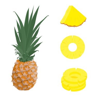 Olgun ananas meyvesi, ananas dilimleri ve halkalar beyaz arka planda izole edilmiş. Vektör illüstrasyon tropikal meyve. Ananas seti
