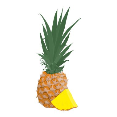 Olgun ananas meyvesi ve ananas dilimi beyaz arka planda izole edilmiş. Vektör illüstrasyonu