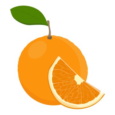 Beyaz arka planda yaprak ve portakal dilimli portakal meyvesi. Citrus meyve vektör illüstrasyonu