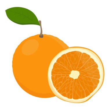 Yapraklı portakal meyvesi ve beyaz arka planda yalıtılmış yarım meyve. Citrus meyve vektör illüstrasyonu