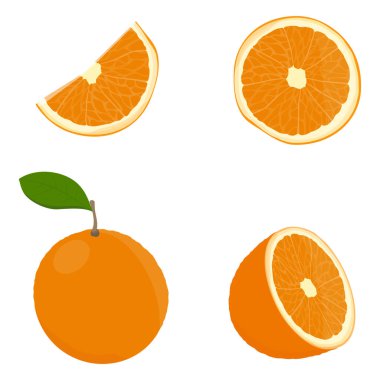 Taze olgun portakal meyve seti. Citrus meyve vektör illüstrasyonu. Yapraklı tam meyve, portakal dilimleri ve yarısı kesilmiş meyve.