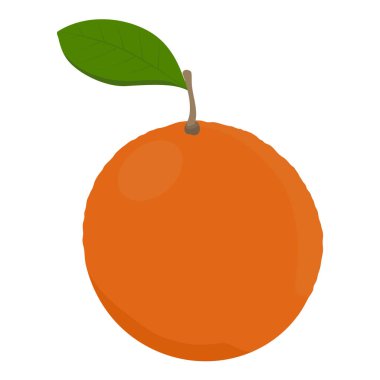 Beyaz arka planda yaprağı olan taze olgun portakal meyveleri. Citrus meyve vektör illüstrasyonu