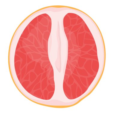 Beyaz arka planda izole edilmiş taze olgun greyfurt parçası. Citrus meyvesi üst görünüm vektör çizimi