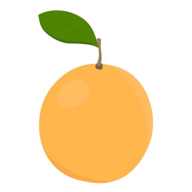 Beyaz arka planda yaprak ile taze olgun greyfurt. Citrus meyve vektör illüstrasyonu