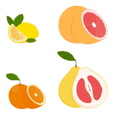 Bir portakal seti: greyfurt, pomelo, portakal, mandalina ve limon. Tam meyve ve yarısını kes. C vitamini ile taze ekşi turunçgil meyveleri gerçekçi vektör çizimi. 