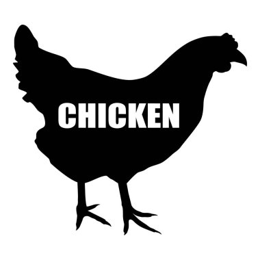 Tavuklu tavuk, siyah siluet, beyaz arka planda izole edilmiş. Tavuk vektör simgesi