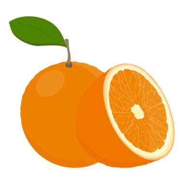 Yapraklı portakal meyvesi ve beyaz arka planda yalıtılmış yarım meyve. Citrus meyve vektör illüstrasyonu