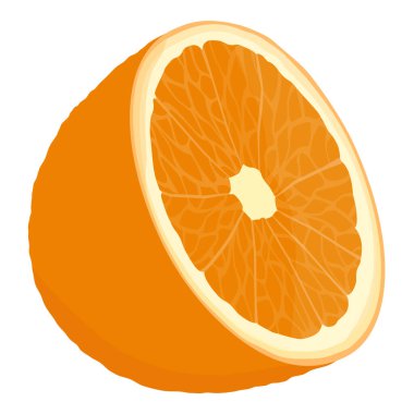 Beyaz arka planda izole edilmiş taze olgun portakal meyvesi parçası. Citrus meyvesi yarı vektör illüstrasyonunda kesilmiş.