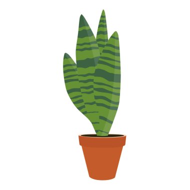 Seramik kapta yılan bitkisi. Beyaz arka planda izole edilmiş Sansevieria saksısı. Vektör