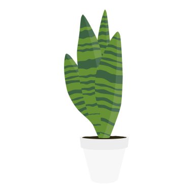 Seramik kapta yılan bitkisi. Beyaz arka planda izole edilmiş Sansevieria saksısı. Vektör