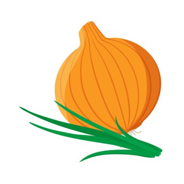 Sarı, yeşil filizli altın soğan, beyaz arka planda izole edilmiş. Tam soğan soğanı. Sebze. Vektör illüstrasyonu