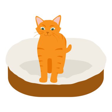 Beyaz arka planda izole edilmiş yumuşak yatak yastığındaki kızıl kedi. Vektör