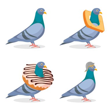 Komik güvercin karakterleri koleksiyonu. Boynunda çörek olan güvercin. Ekmek kabuklu güvercin. Ortaçağ kasklı güvercin. Vektör illüstrasyonu